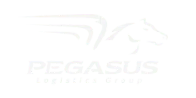 Pegasus Logistics Tracking