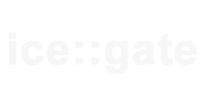 ICEGATE Shipping Bill Tracking