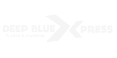 Blue Express Courier Tracking